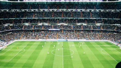 2025年：中国网络零售额增长7.2%，全球最大网络市场宝座稳居12年